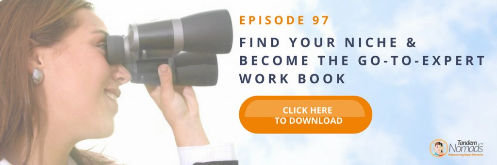 TN97 Free download Find your niche workbook
